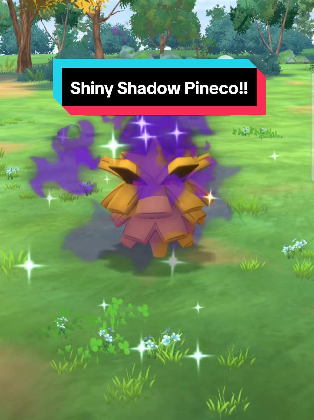 @ShadowVoid160