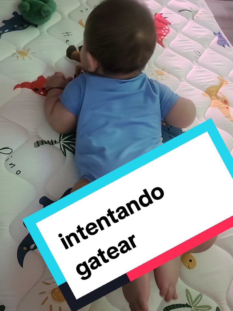 @magda
