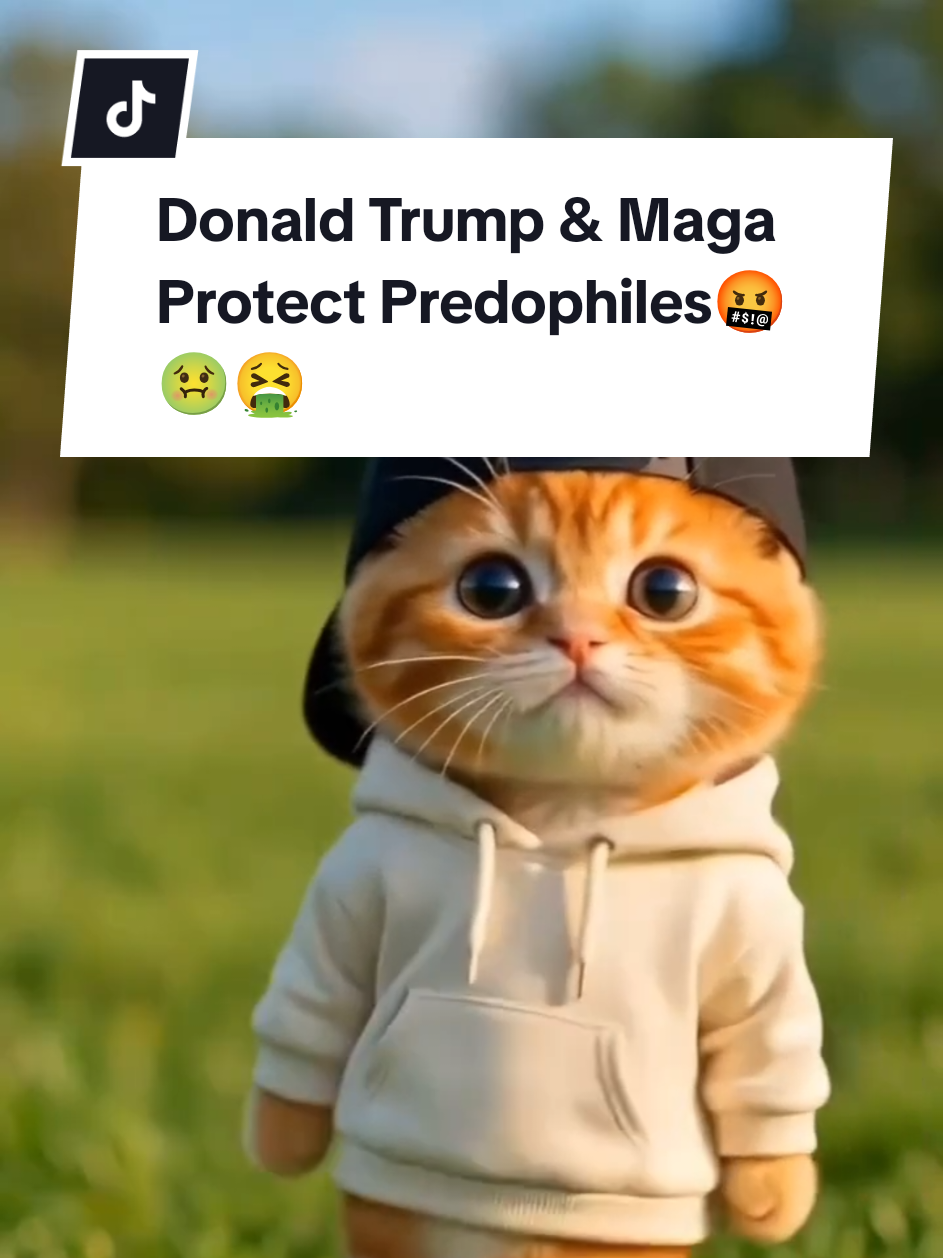 @politicalpyro
