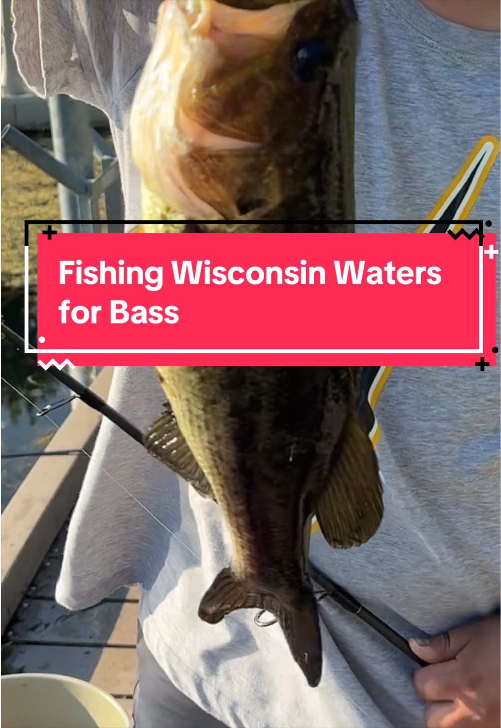 @Cujo Catches