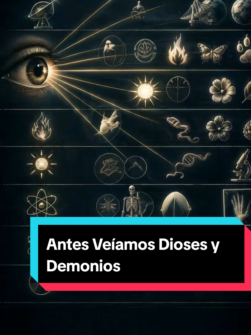 @El Dato