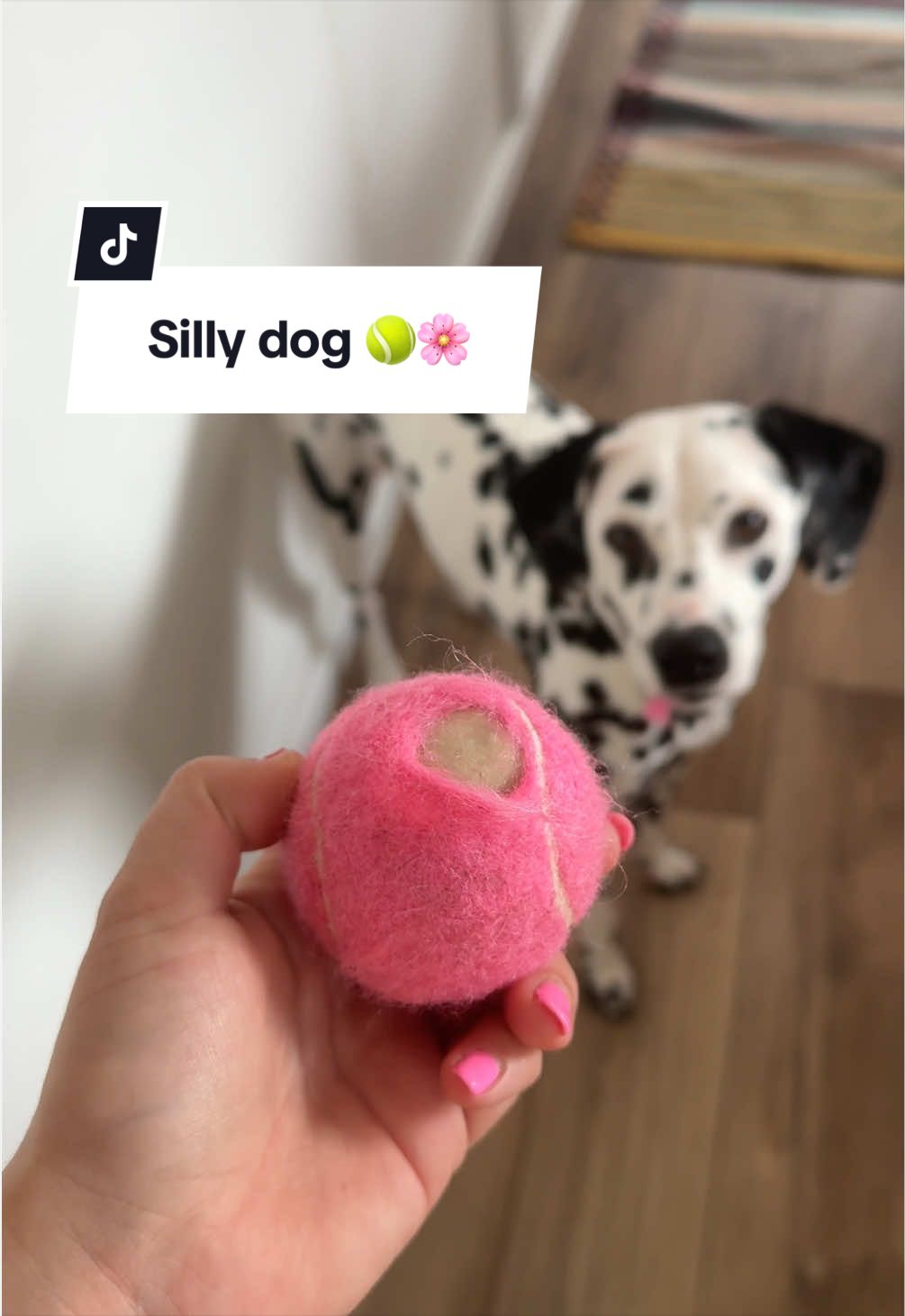 @Maisy