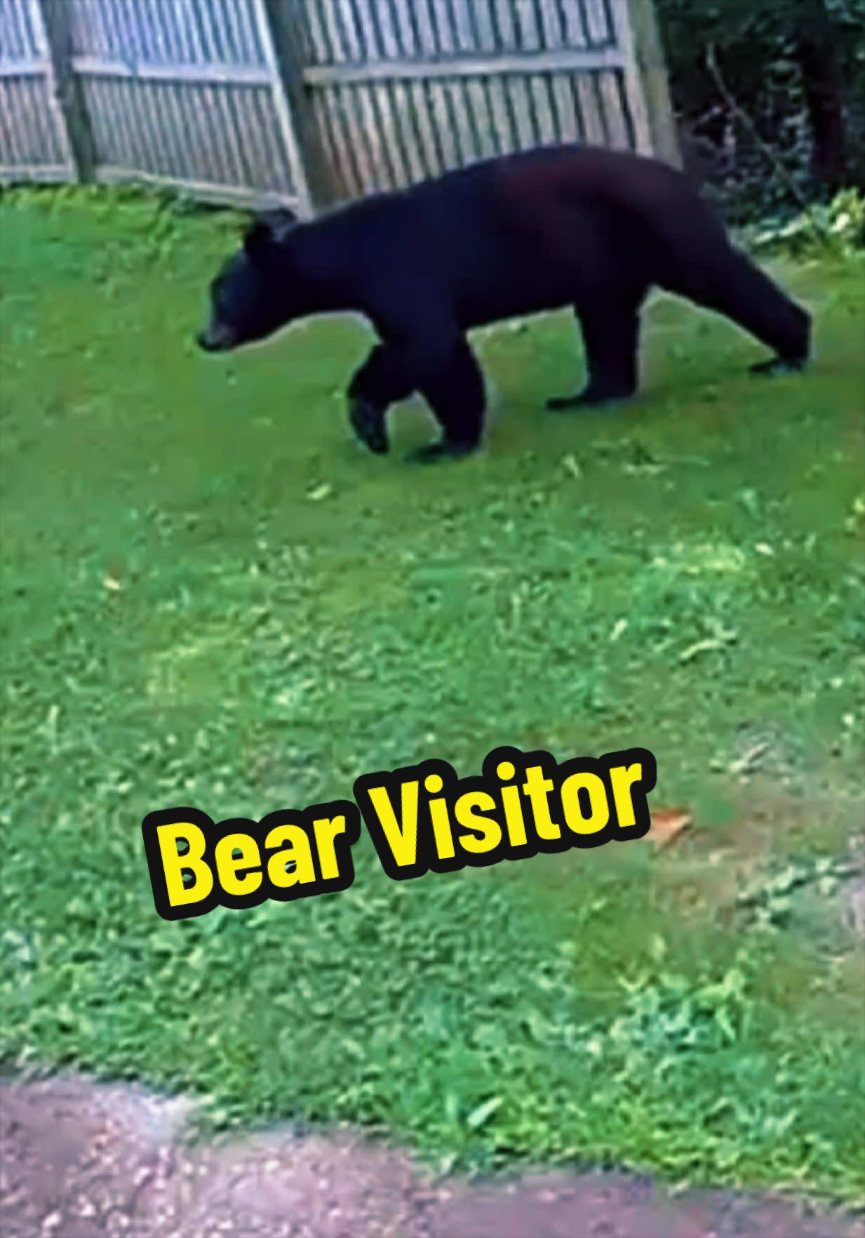 @Ren, The Smoky Mountain Lady