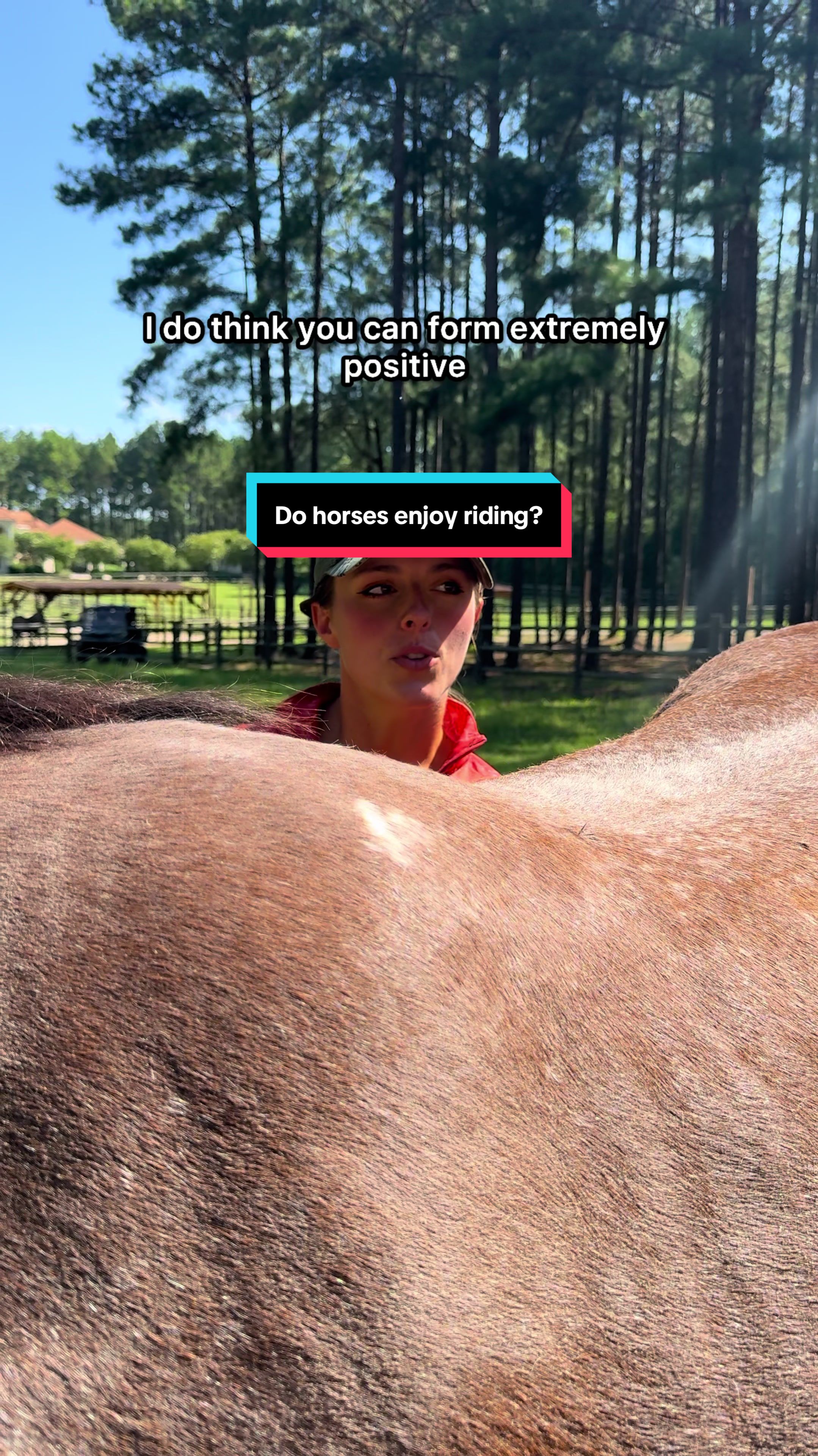 @TheSouthernHorsegirl