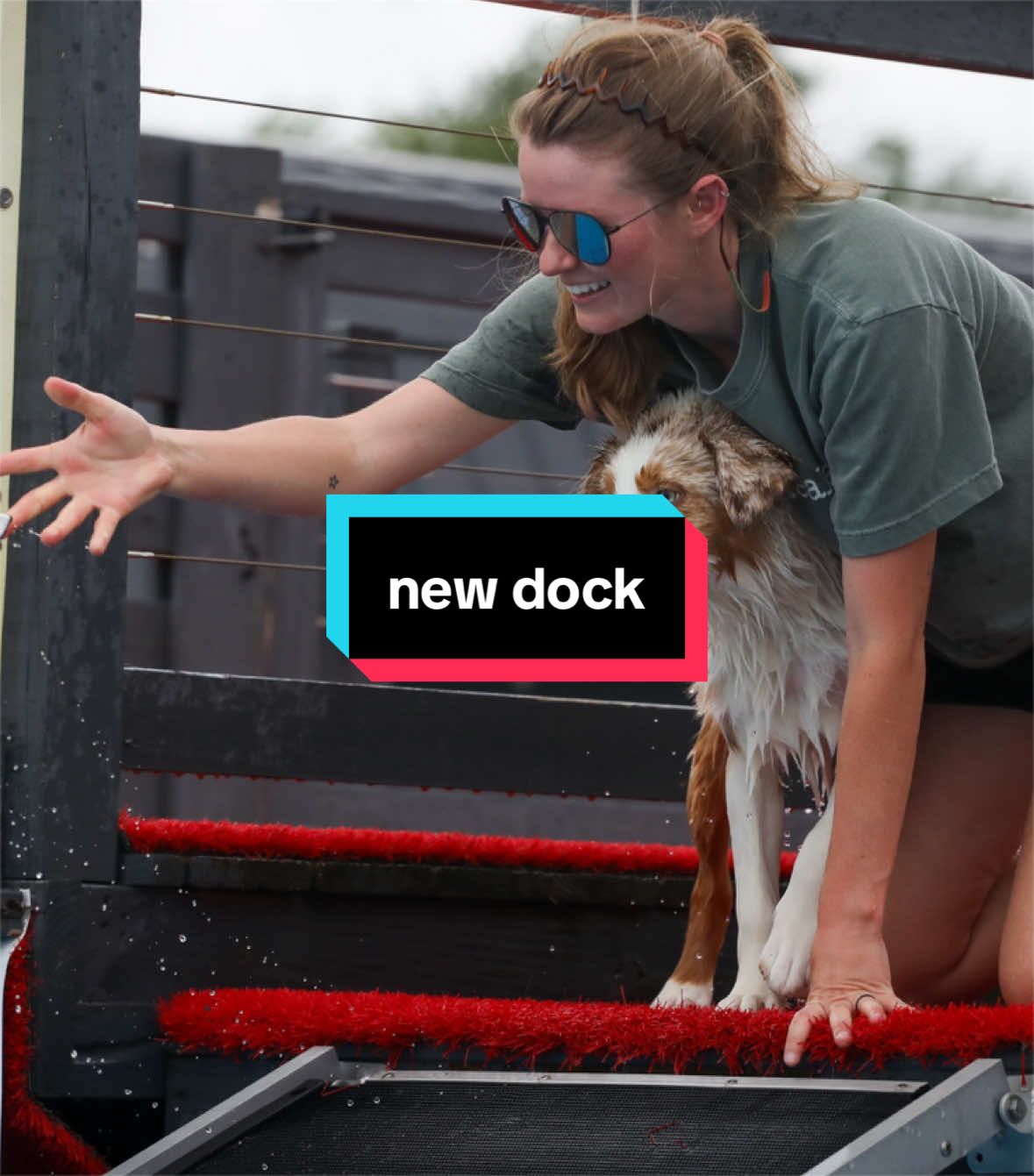 @Beck | Kentucky Dog Trainer