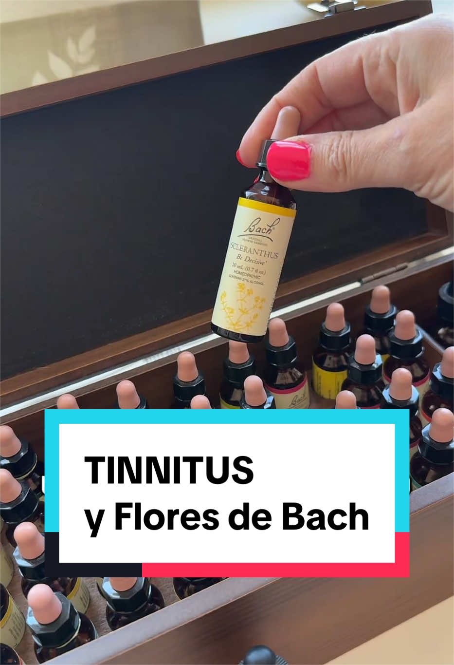 @bachflowersmb