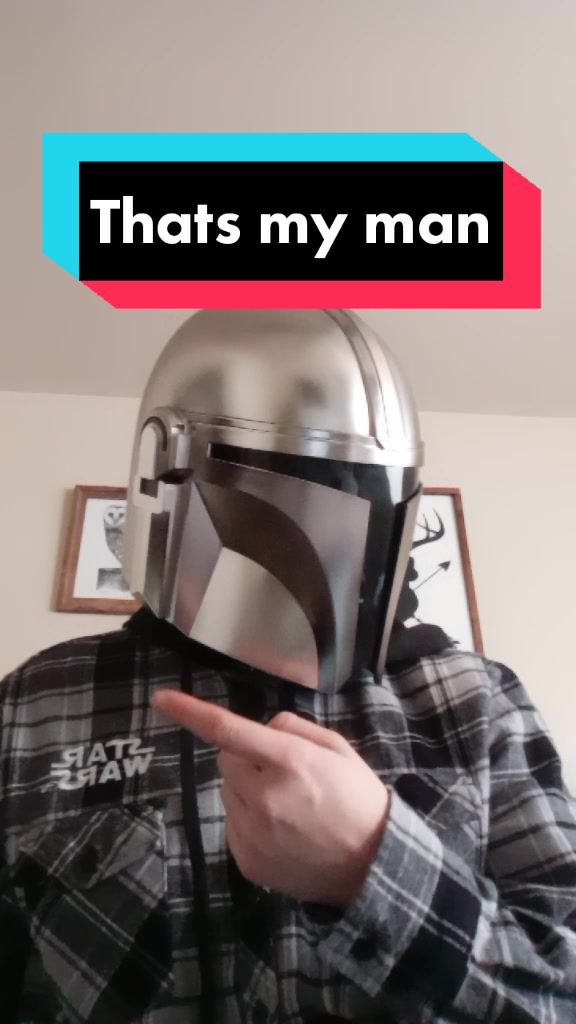 @Mandalorian Owl