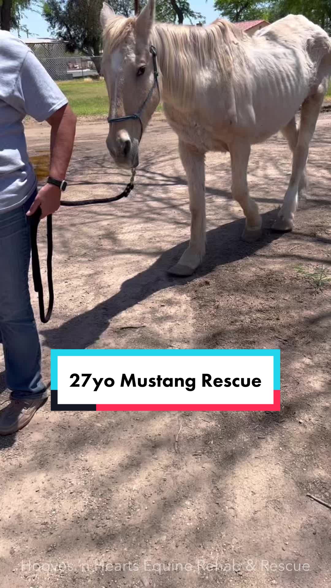 @Hooves &lsquo;n Hearts Equine Rescue