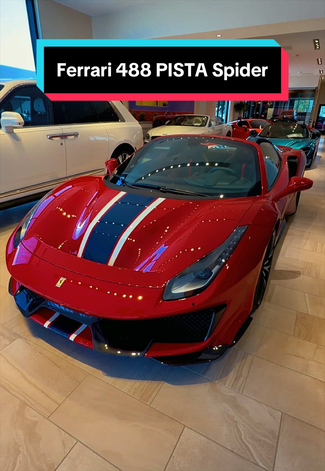 @exotic.trent