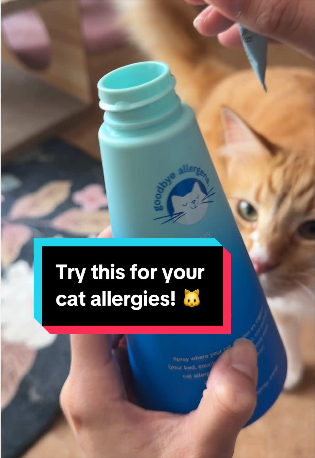 @meloncreamcat