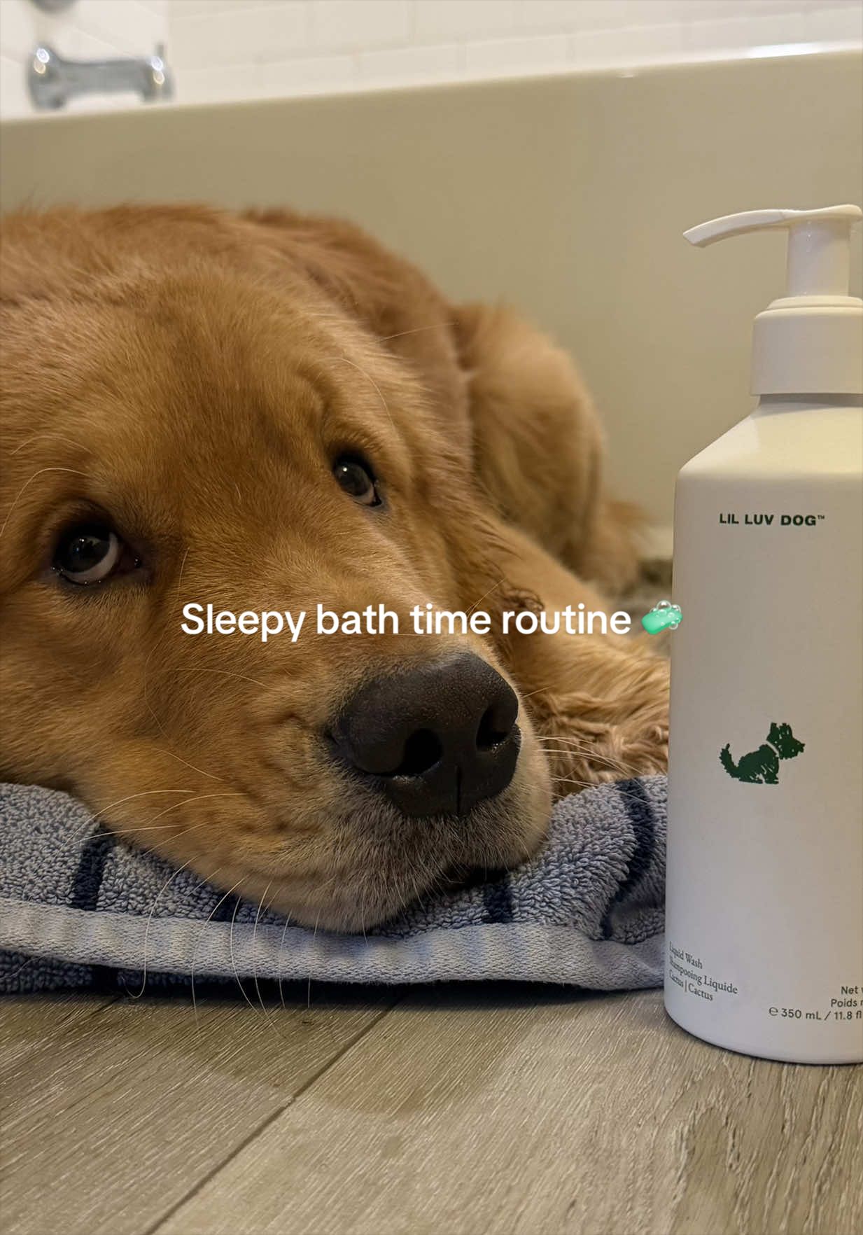 @Romeo the Retriever