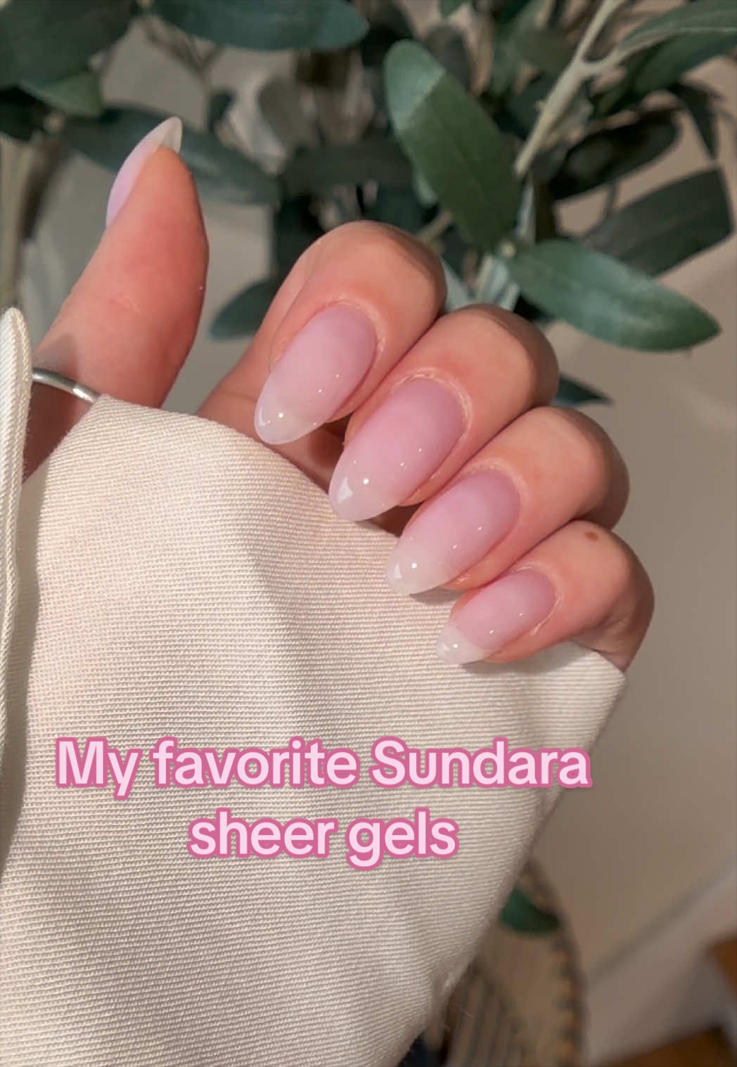 @thegelbelle