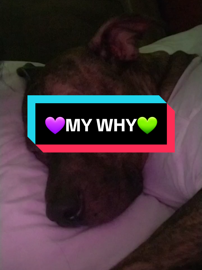 @Live🇺🇸Love🏳️&zwj;🌈Laugh