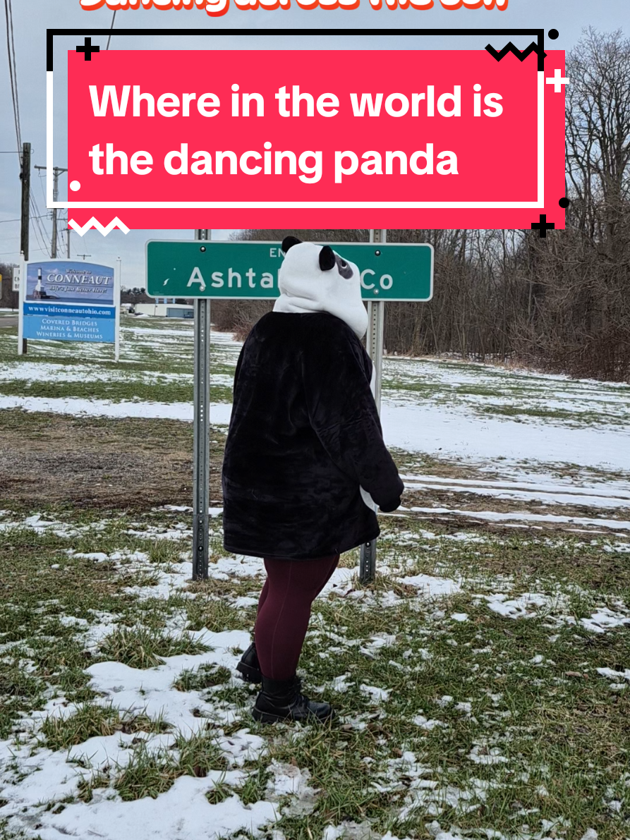 @The Dancing Panda