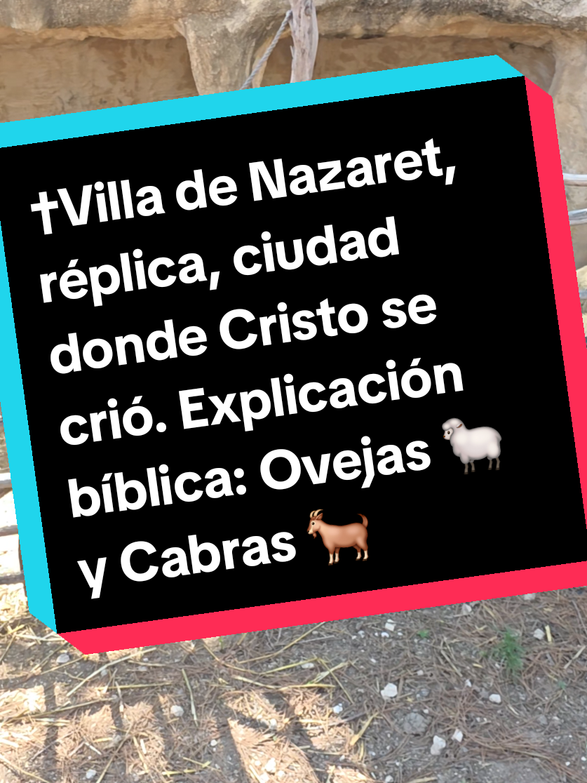 @Miguel S&aacute;nchez &Aacute;vila