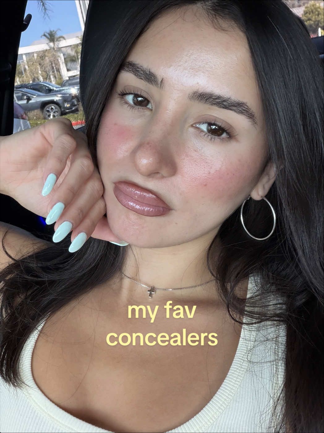 @Ani B