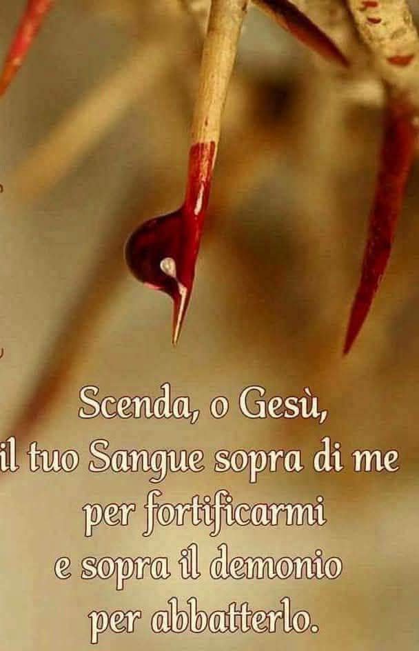 @⚔️❤️🔥17🖤⚔️