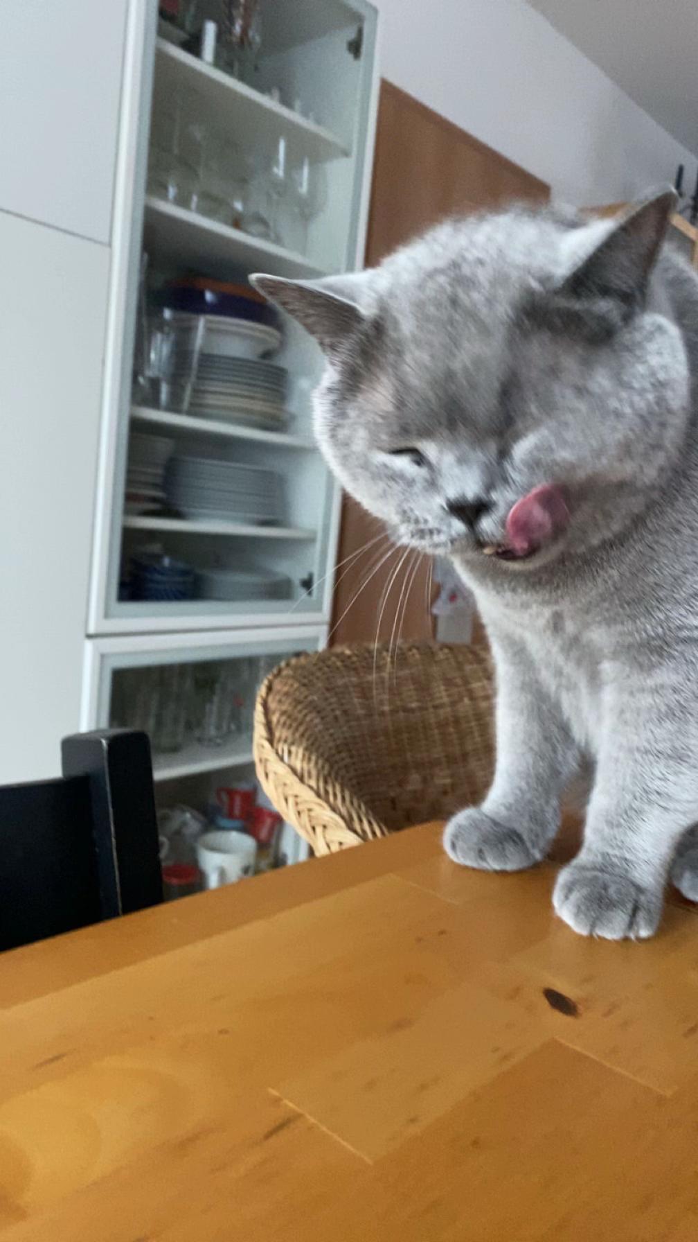 @๐ธ