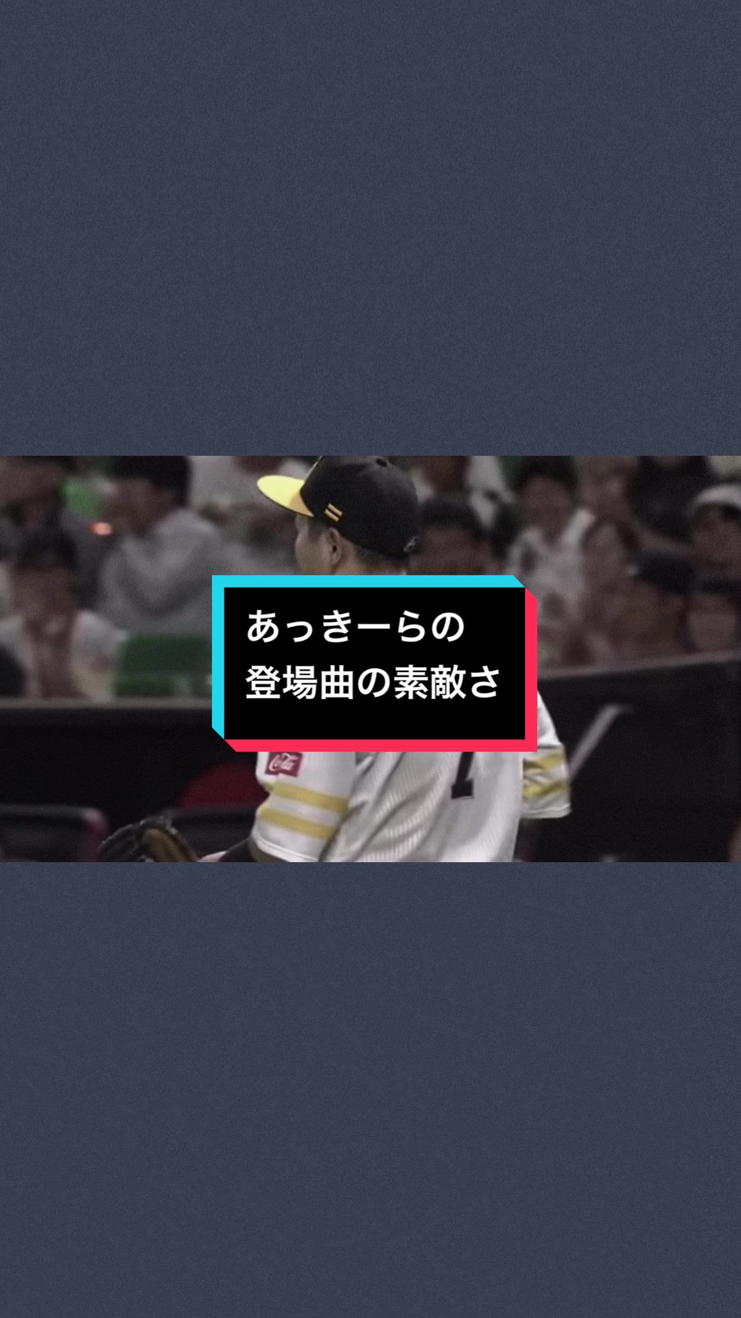 @ま 🦅🐯⚾️