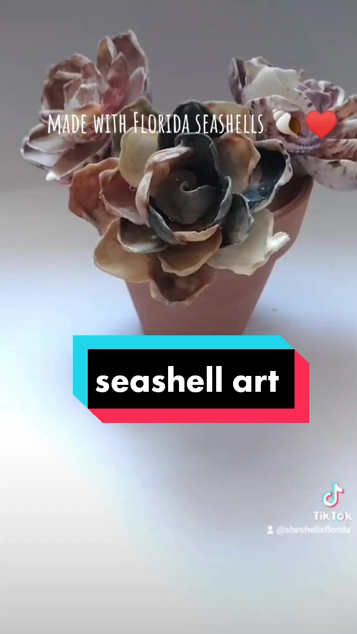 @Mermaid Flowers🧜&zwj;♀️🐚