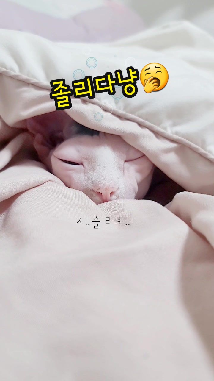 @짠주몬