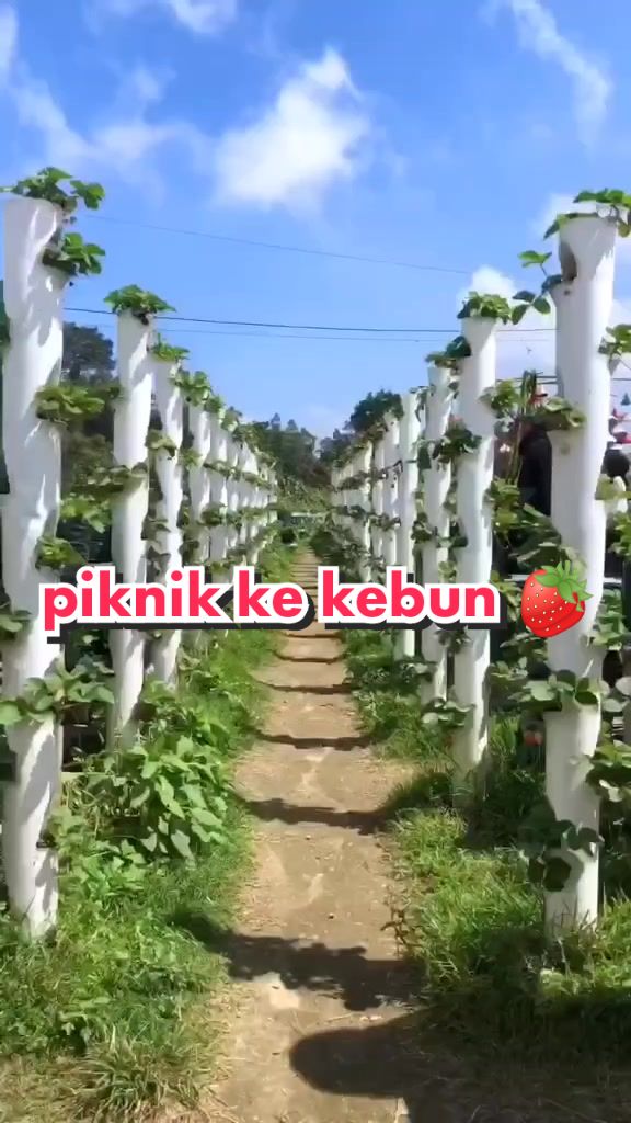 @_adindawijaya