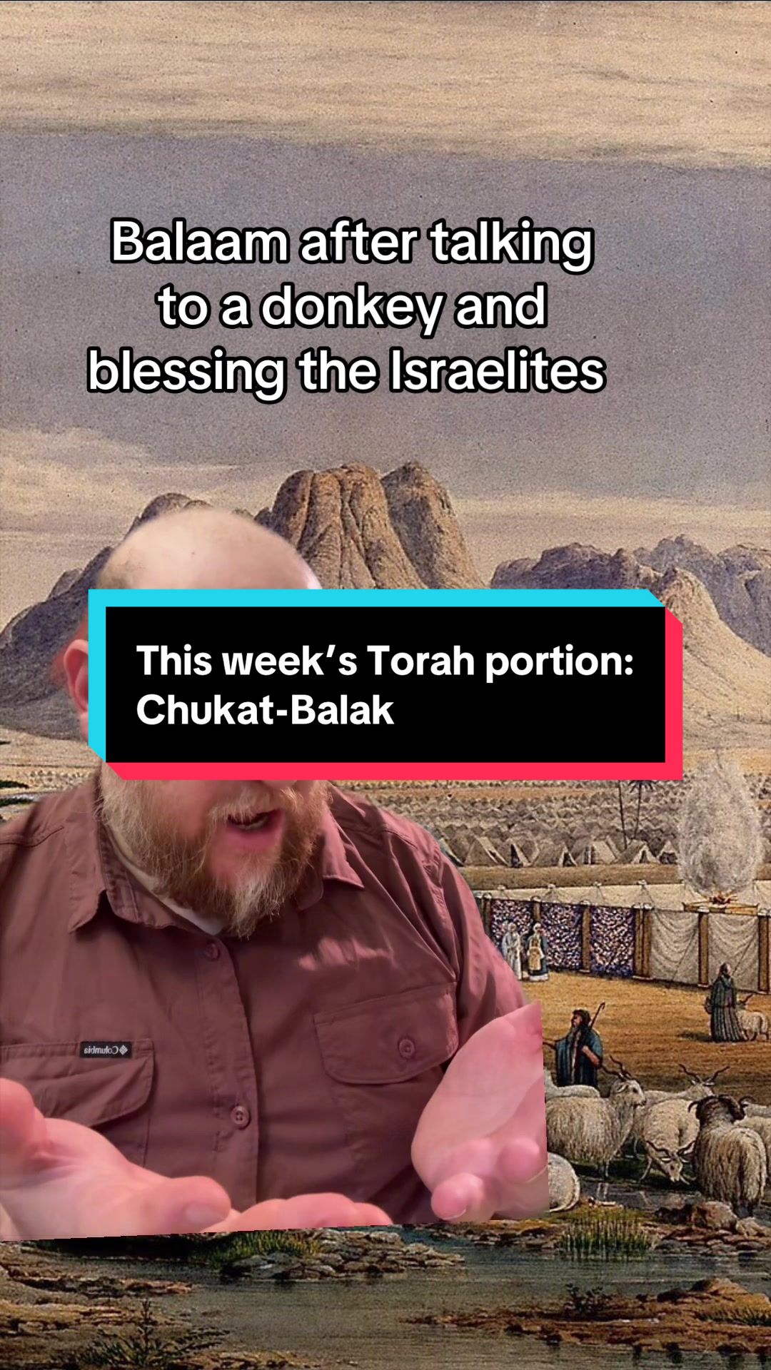 @Rabbi Seth Goldstein