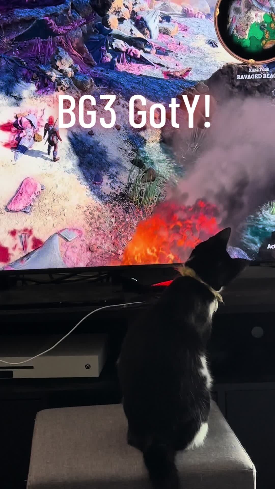 @SilverGinger