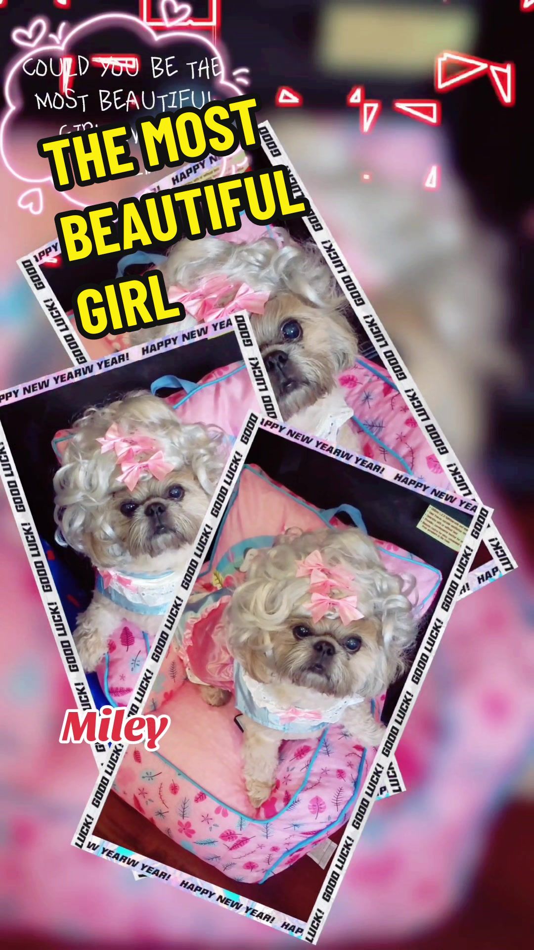 @peeweeandmiley