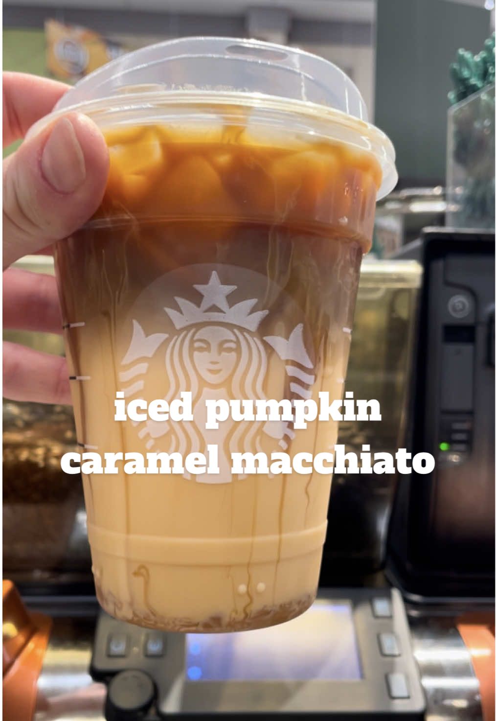 @yourlocalStarbies