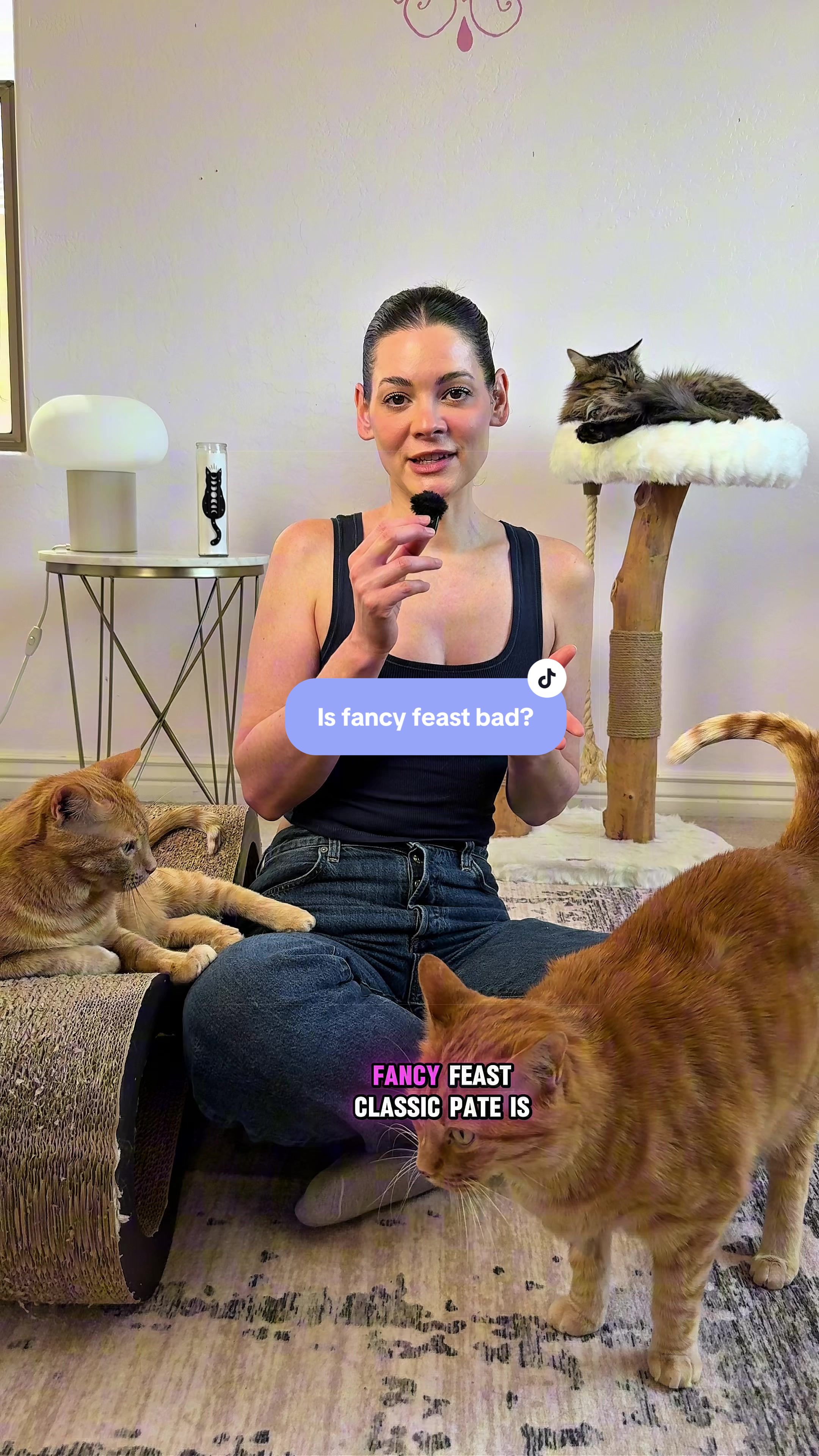 @Feminist Kitty | Cat Nutrition