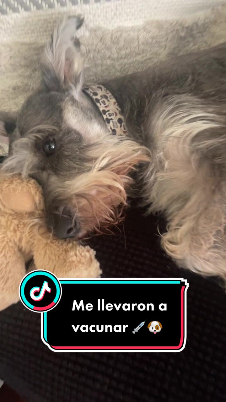 @🐶🐾