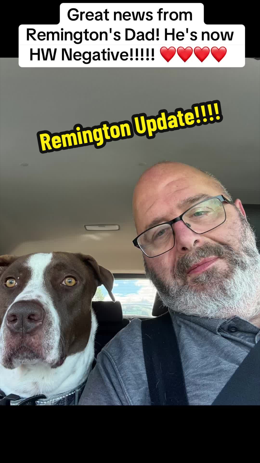 @Rescue Dog Army