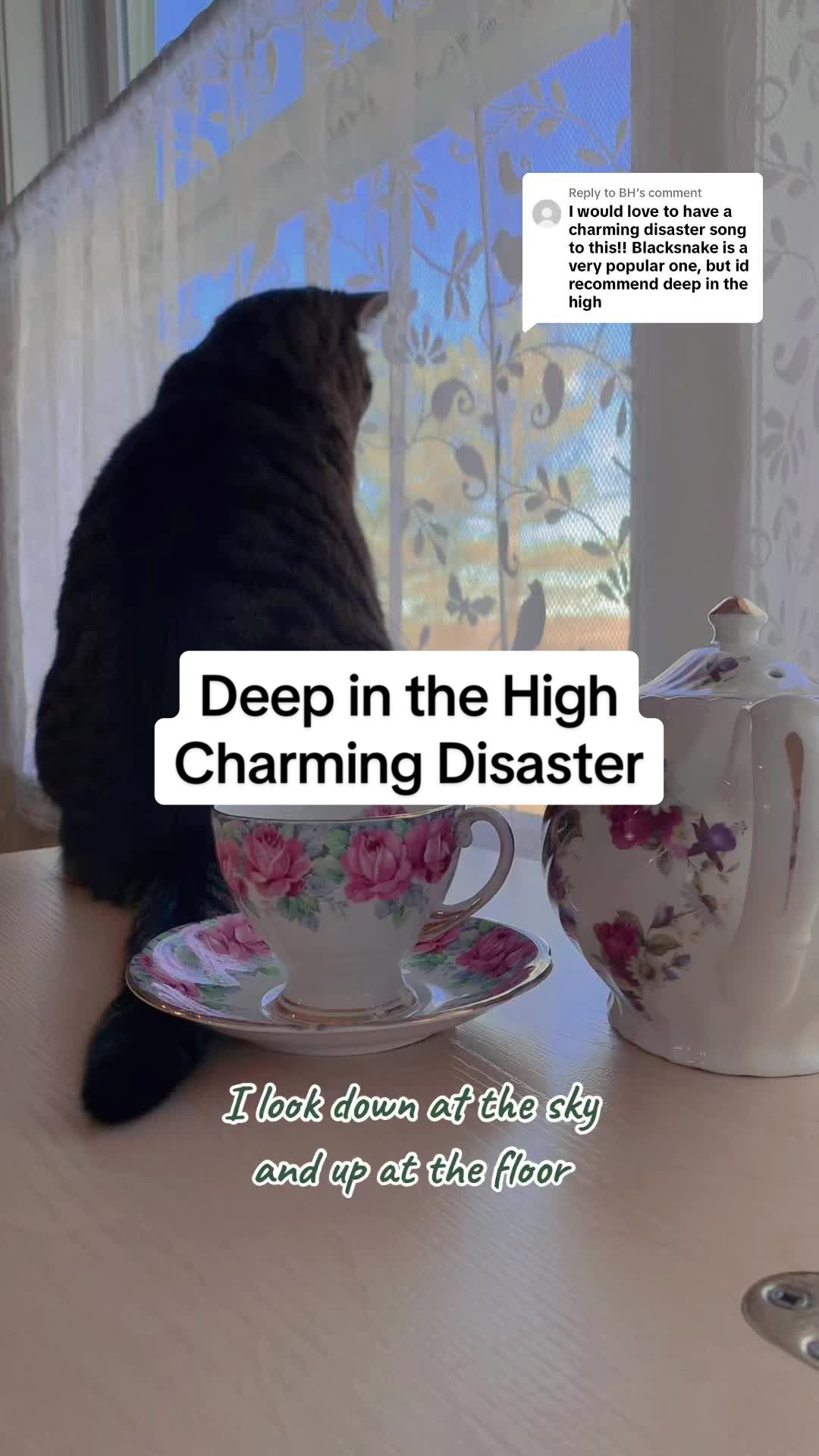 @Leo