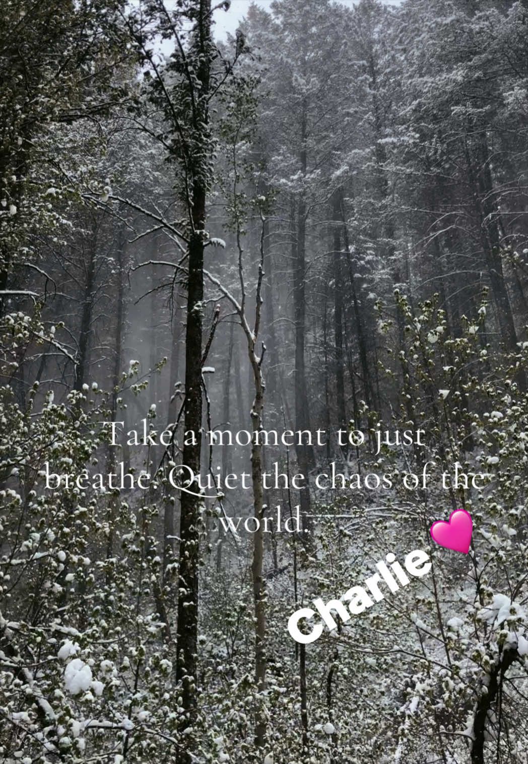 @Charlie&CrewAdventures