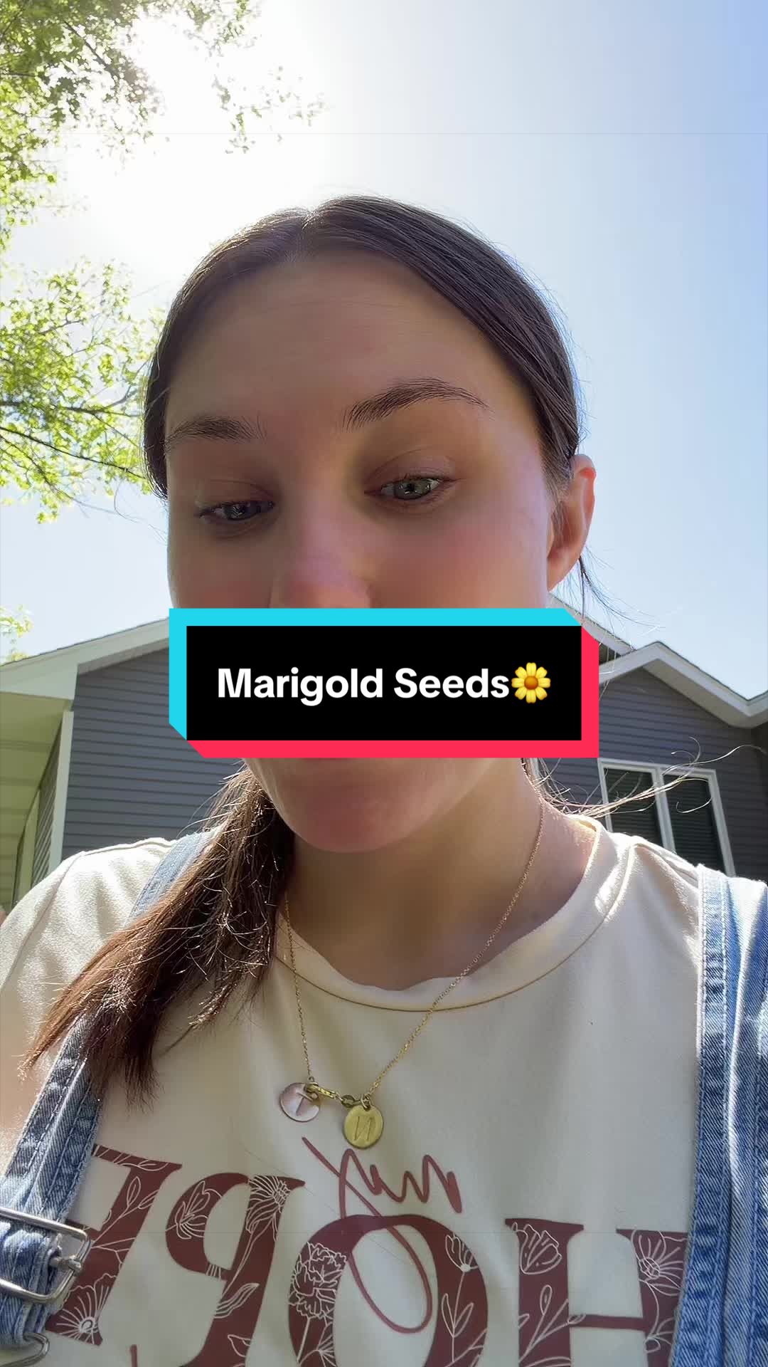 @its.mya.merten