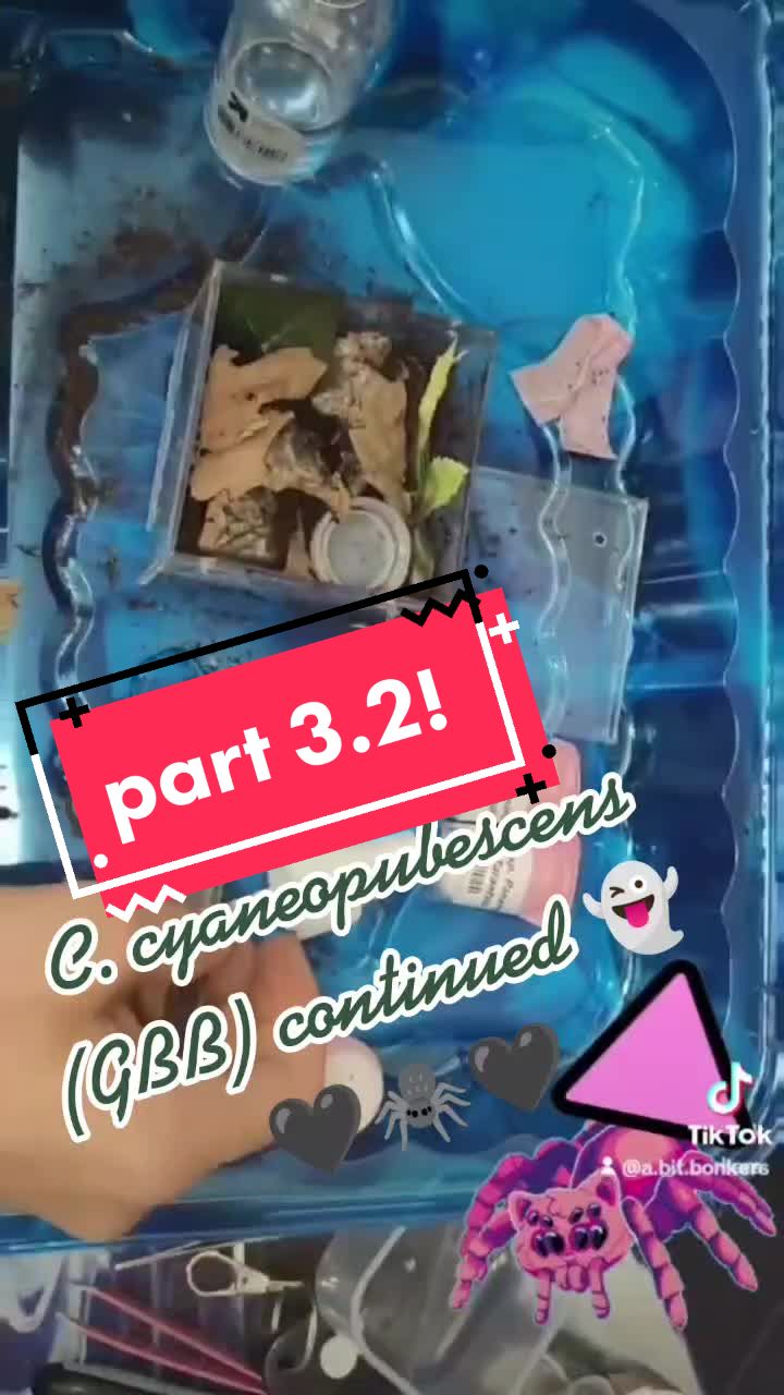 @💀🕷️👻Zaraiya👻🕷️💀