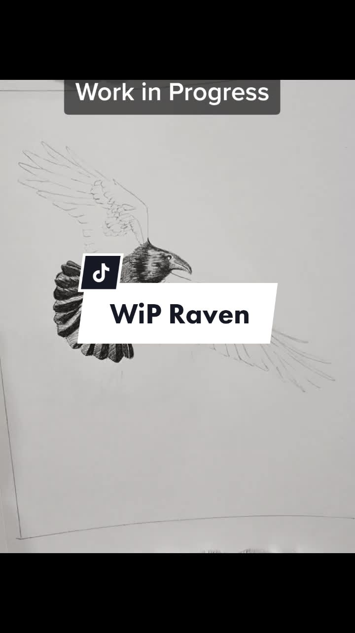 @Artist Winterjaye 🦋