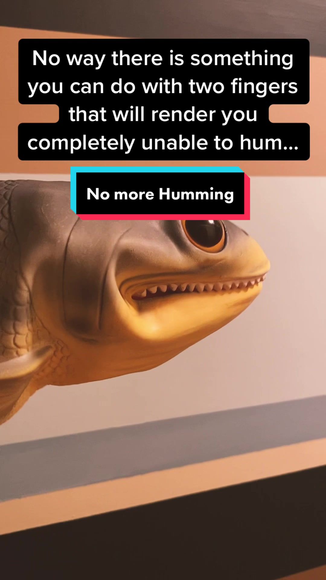 @RealisticFishHead