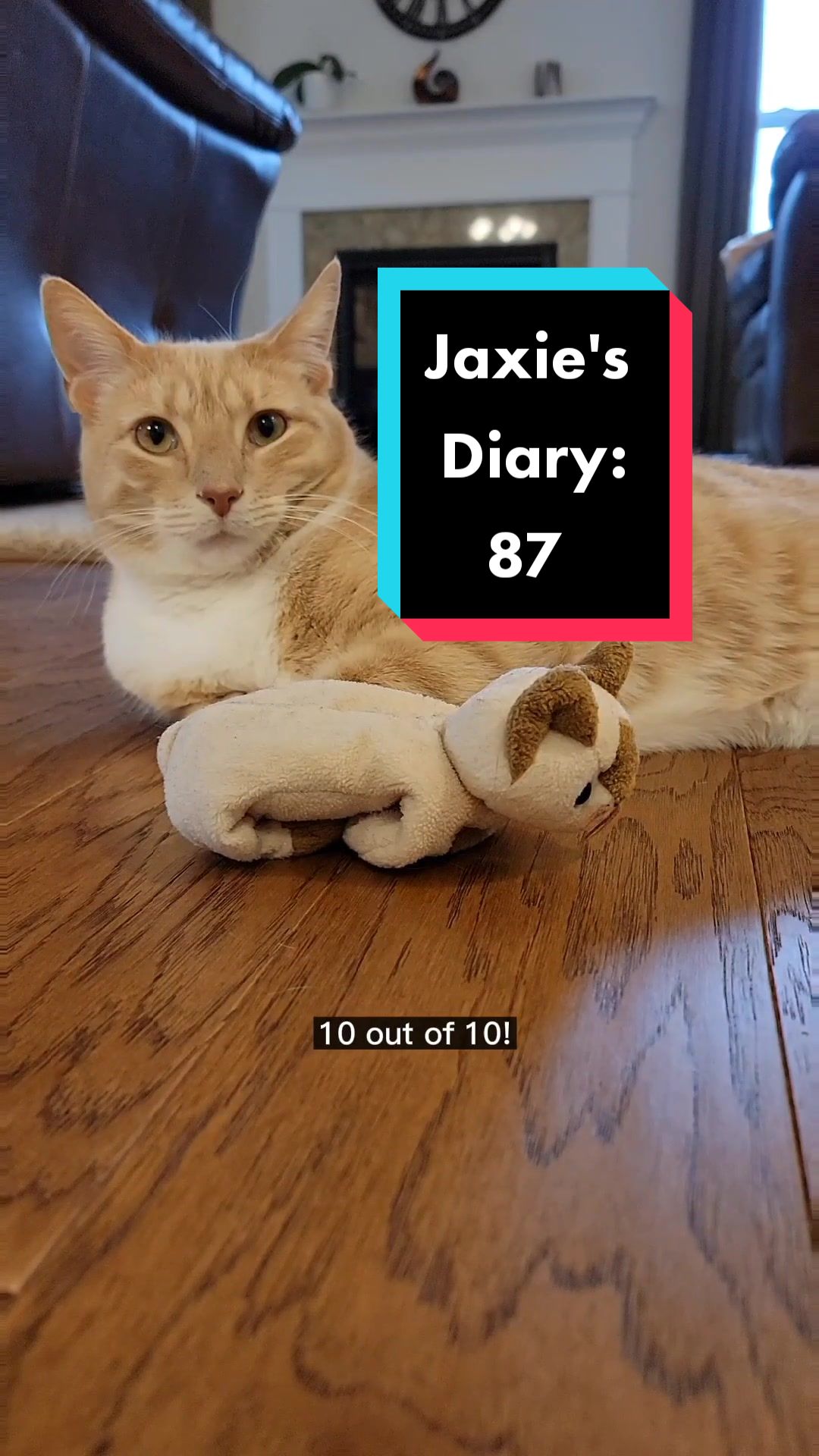 @Flannel Pants and Kitties