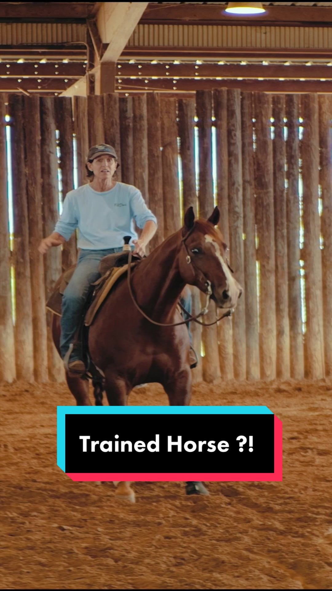 @Fit Equine