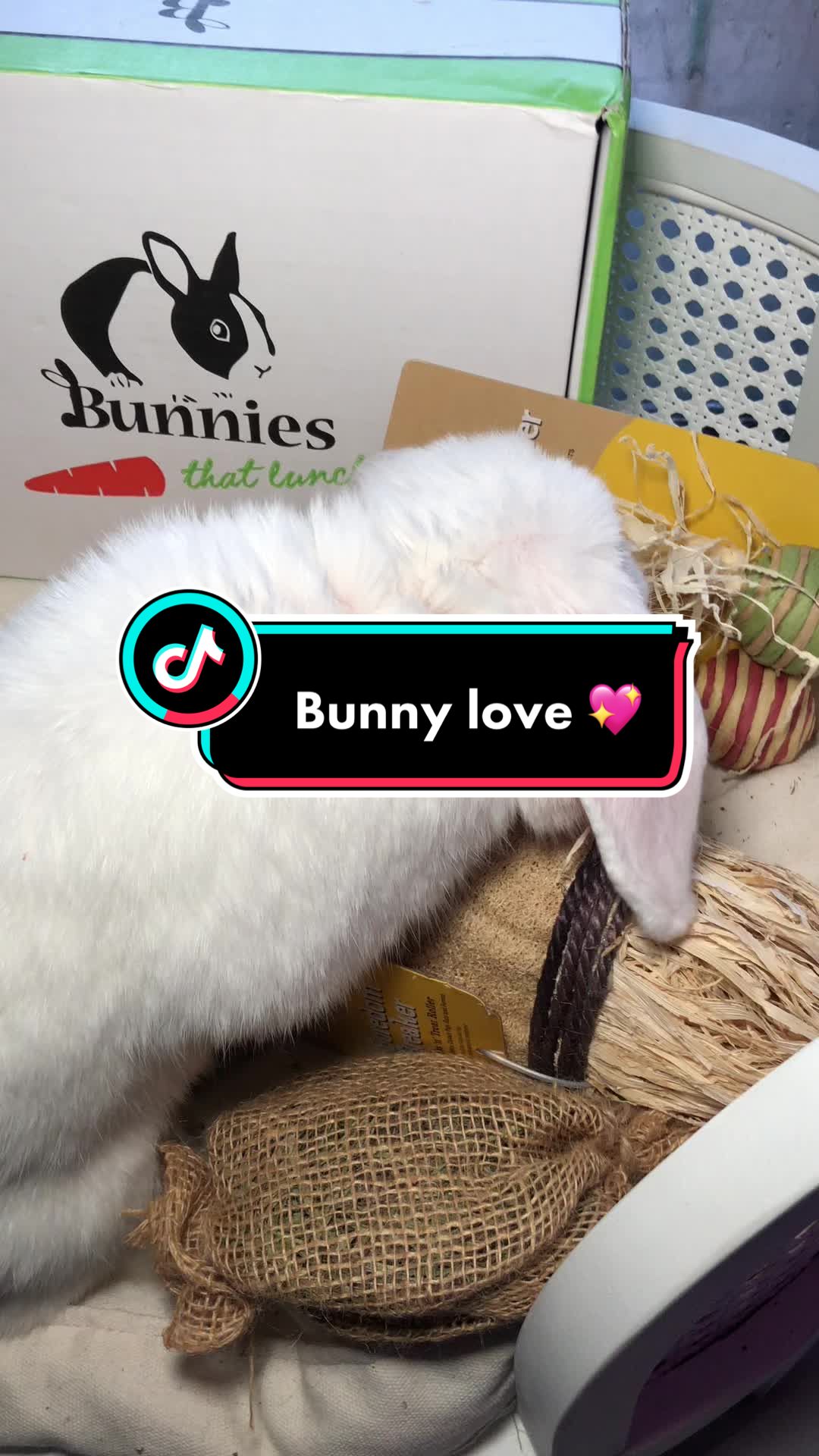 @Arcticbadbunny