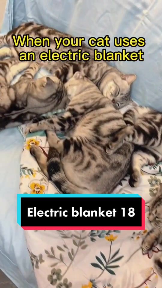 @Electric blanket factory