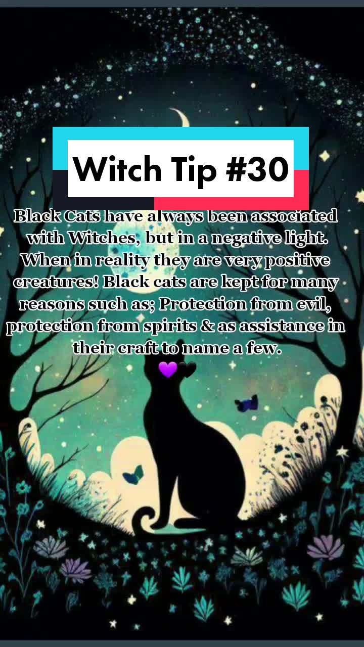 @Mira_TheCatWitch