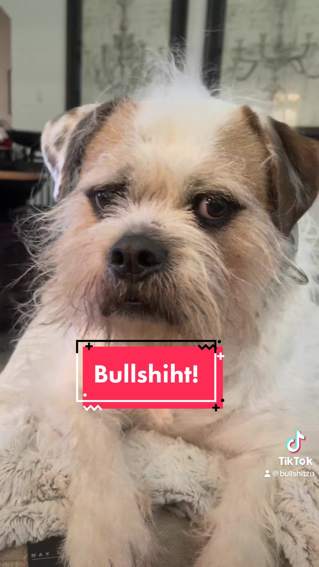 @BullShitzu
