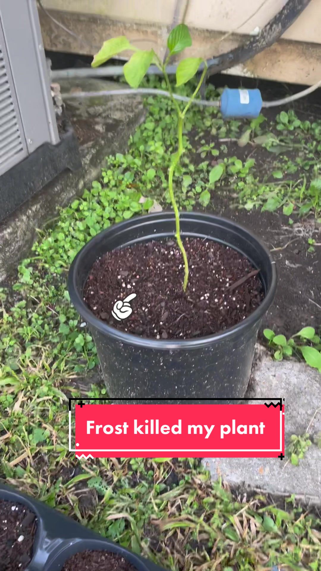 @WhateverMatters_