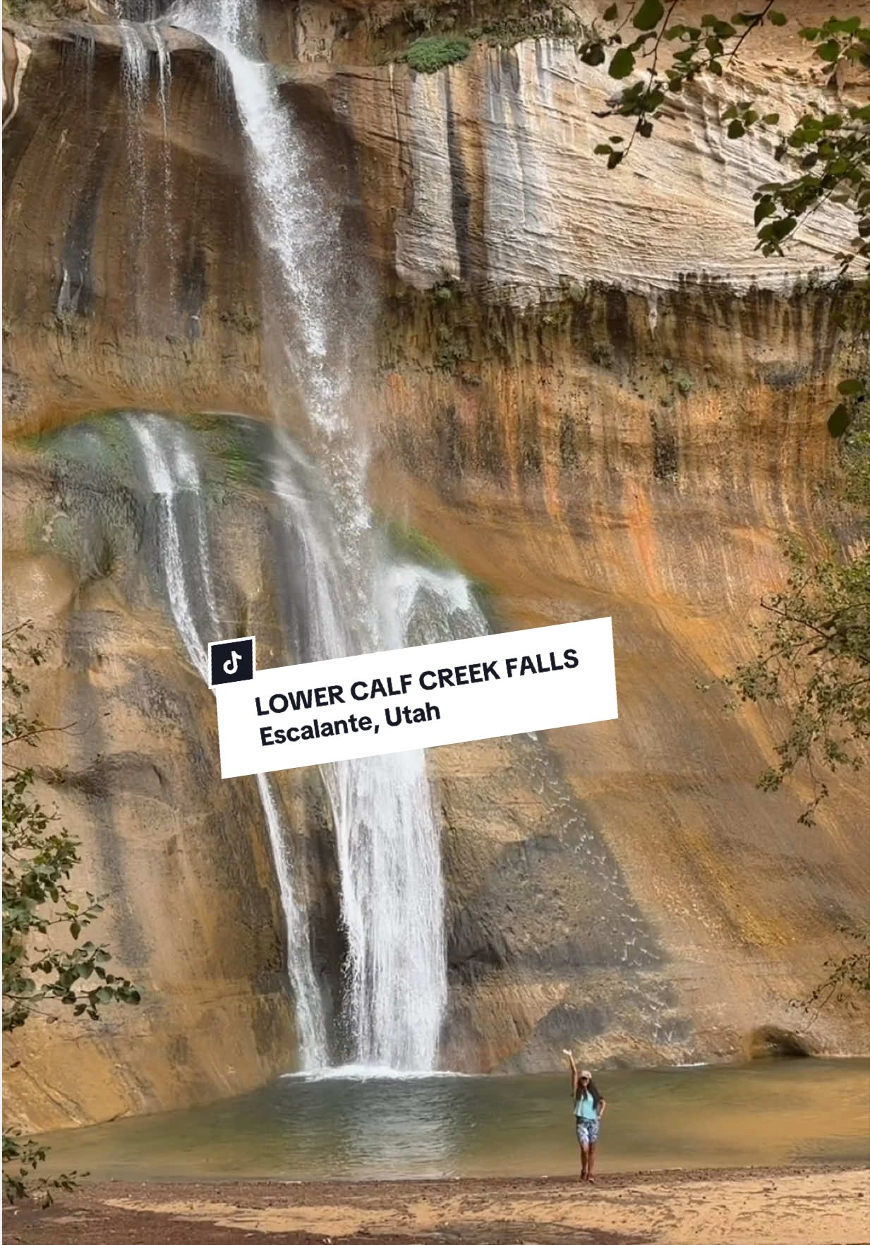 @Jely | Utah Creator