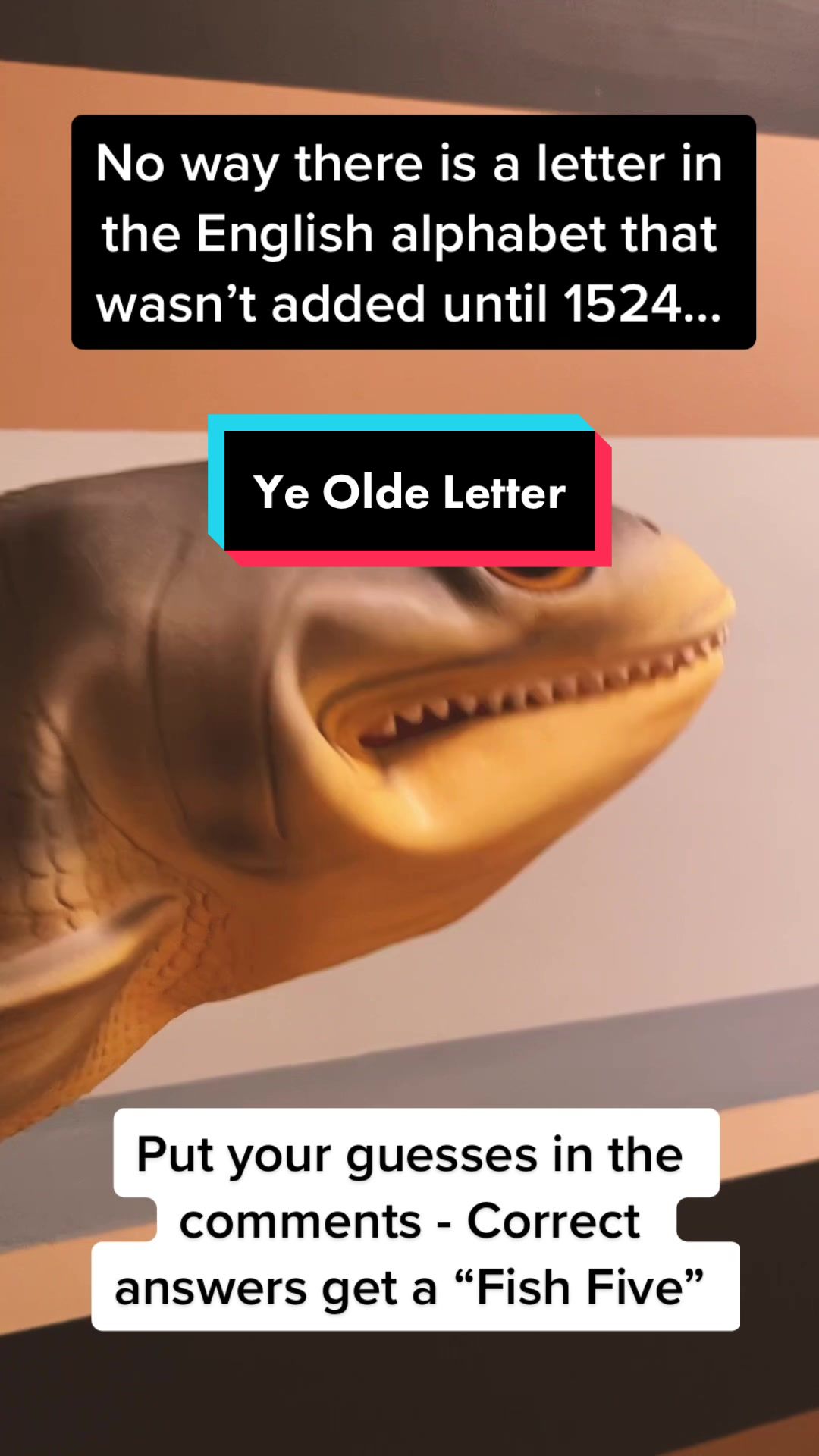 @RealisticFishHead
