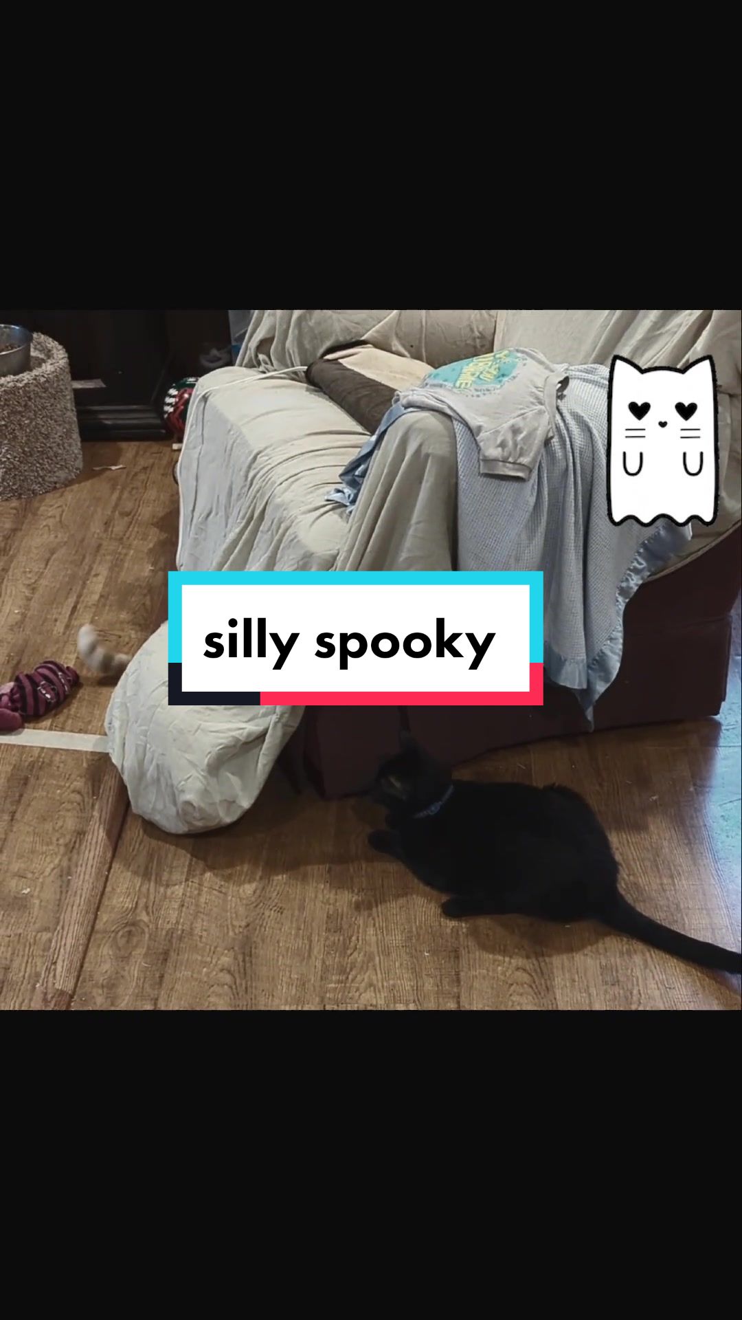 @Kitty Bouhktin