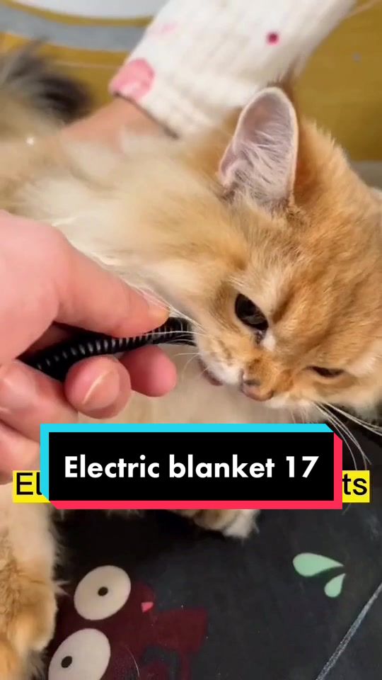 @Electric blanket factory